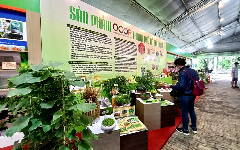 Các hoạt động kết hợp trong Tuần lễ
