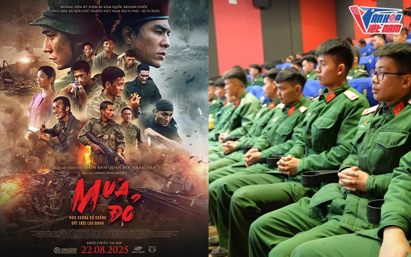 Chi tiết về các hoạt động chiếu phim