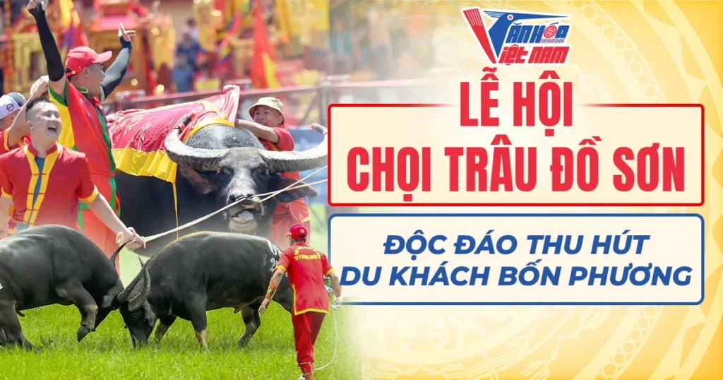 Lễ hội chọi trâu Đồ Sơn