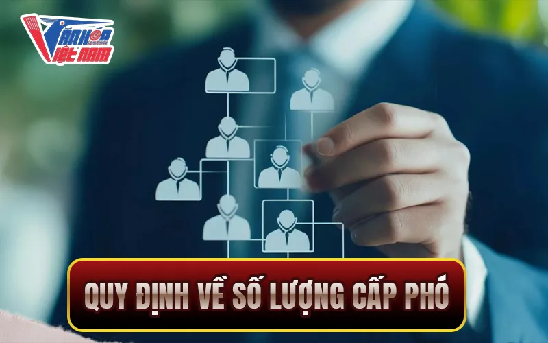 Quy định về số lượng cấp phó