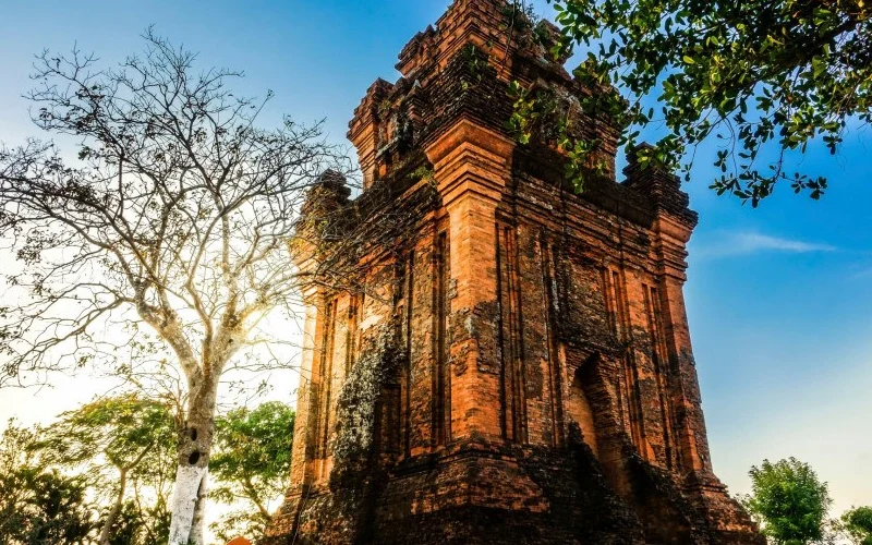 Mục Tiêu Quy Hoạch