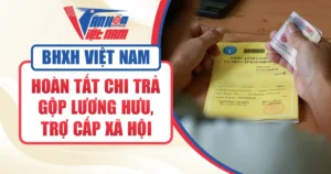 Bảo hiểm Xã hội Việt Nam