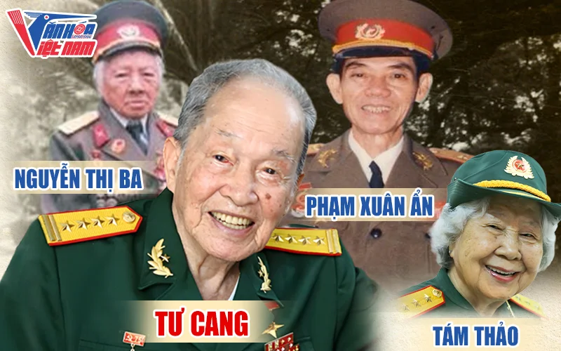 Cụm tình bào H.63