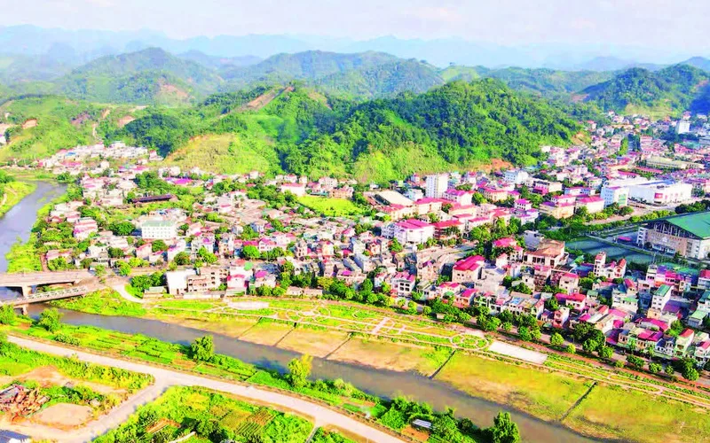 Các Hoạt Động Được Triển Khai