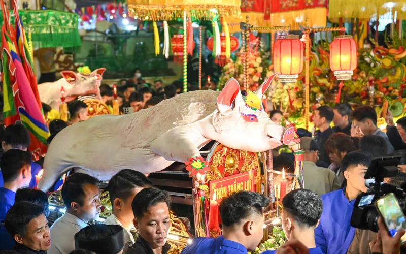 Không khí lễ hội rộn ràng