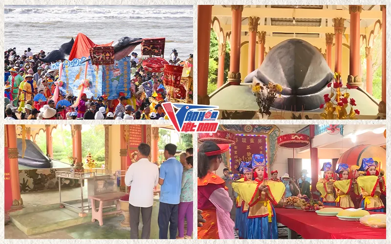 Các hoạt động trong tục thờ Cá Ông
