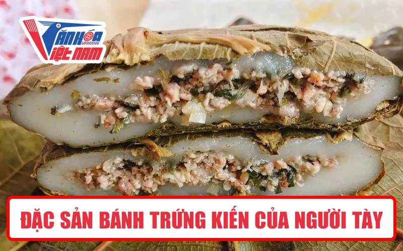 Đặc Sản Bánh Trứng Kiến Của Người Tày