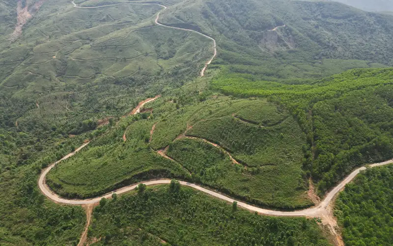 Hành Trình Lịch Sử Của Tuyến Đường 71