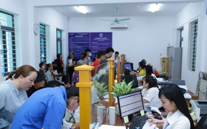 Nội dung thông tin thu thập