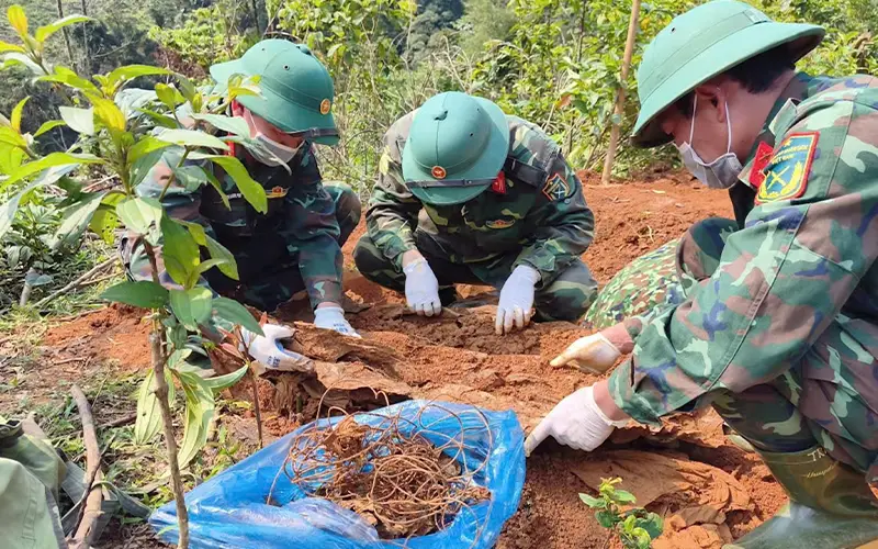 Quá Trình Tìm Kiếm và Phát Hiện