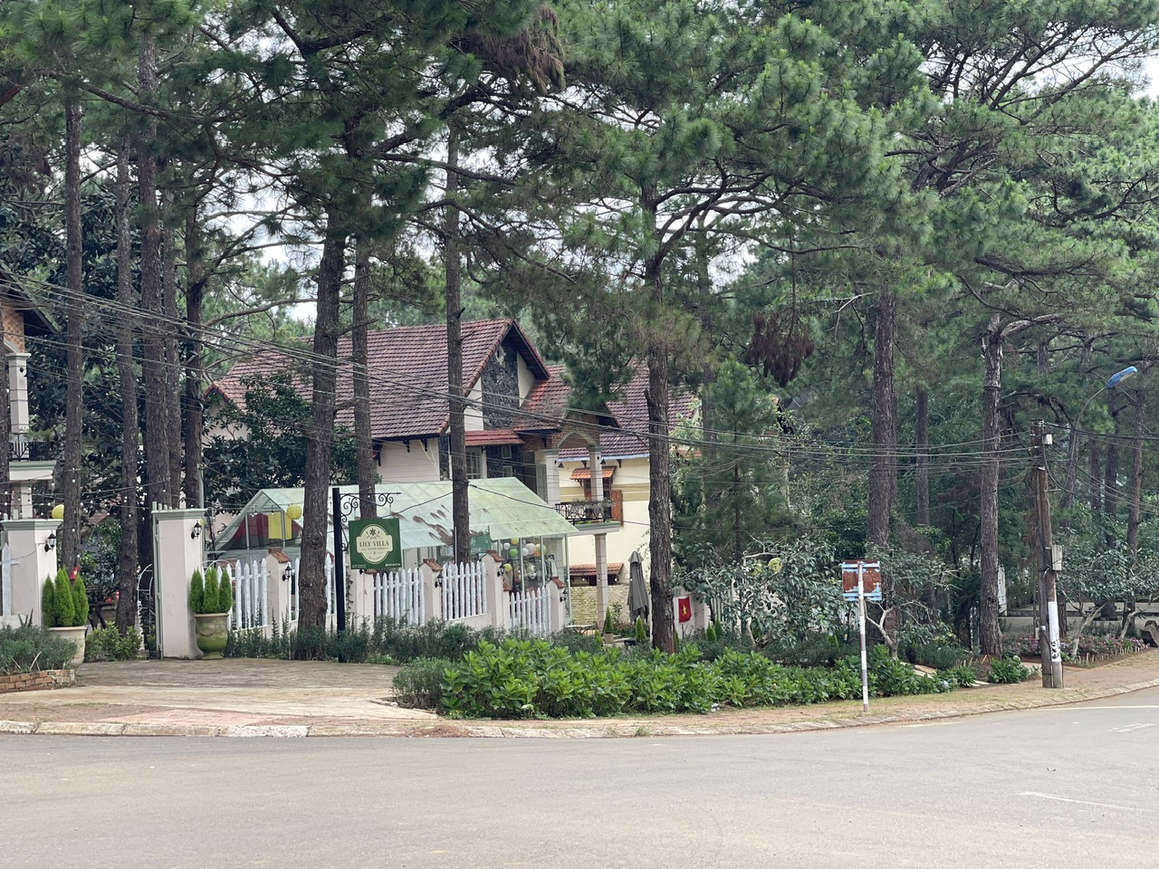 Măng Đen Khát Vọng Vươn Xa: Hơn Cả Một Lễ Hội Nghệ Thuật