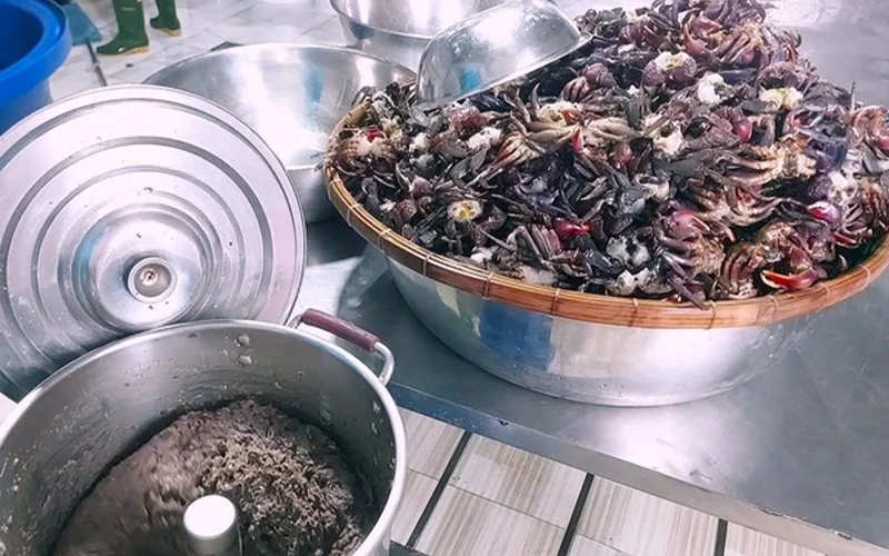Sự biến đổi cùng mùa ba khía lột