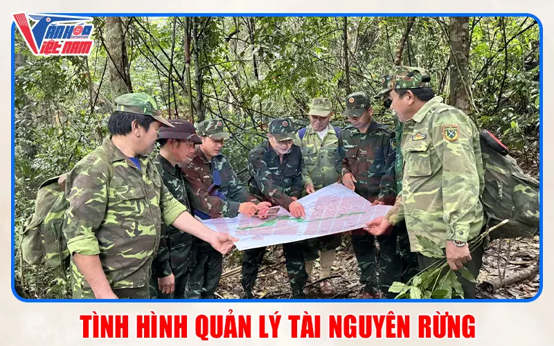 Tình hình quản lý tài nguyên rừng