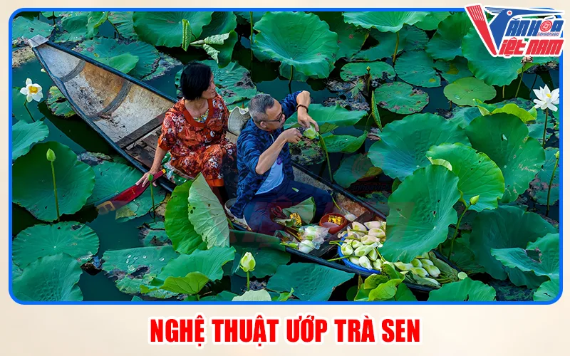 Nghệ Thuật Ướp Trà Sen: Chữ "Tâm" Và Sự Kiên Nhẫn