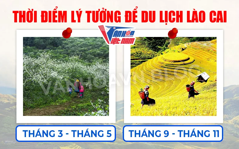 Thời điểm nên đi du lịch Lào Cai