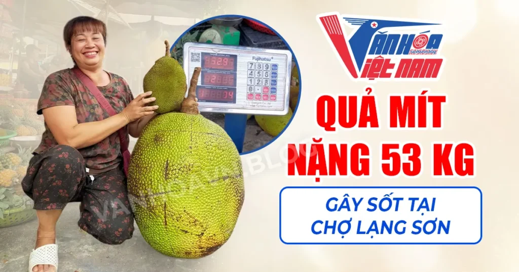 Quả Mít Nặng 53 Kg