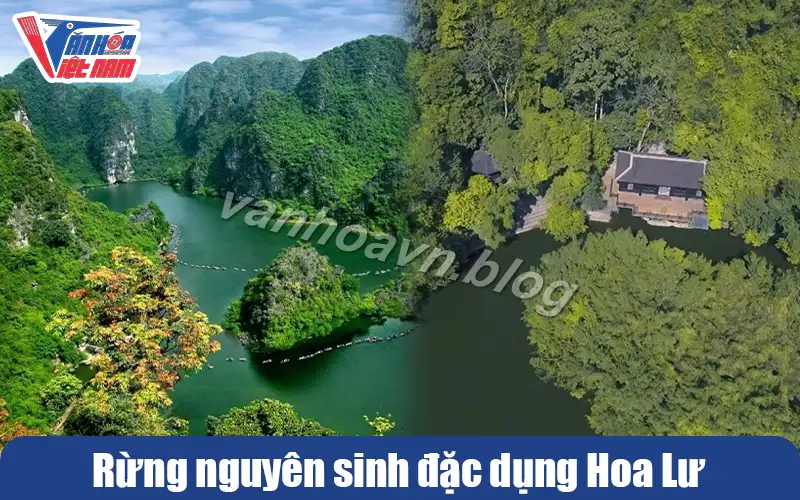 Rừng nguyên sinh đặc dụng Hoa Lư quần thể danh thắng Tràng An