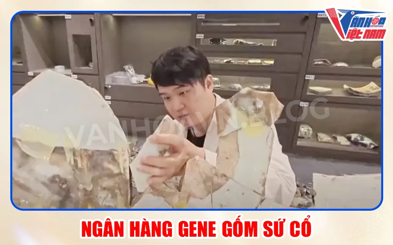 Ngân Hàng Gene Gốm Sứ Cổ