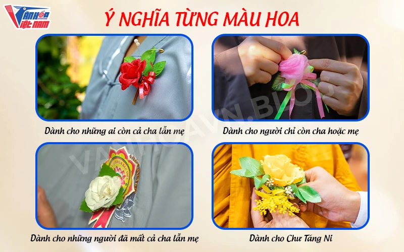 Ý nghĩa bông hồng cài áo trong ngày lễ Vu Lan