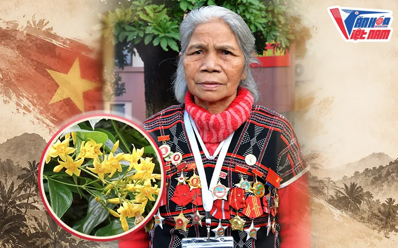 Anh hùng Hồ Thị Đơm nổi tiếng với chiến thuật dùng lá ngón tiêu diệt quân địch