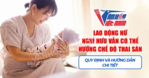 Lao động nữ nghỉ hưu vẫn có thể hưởng chế độ thai sản